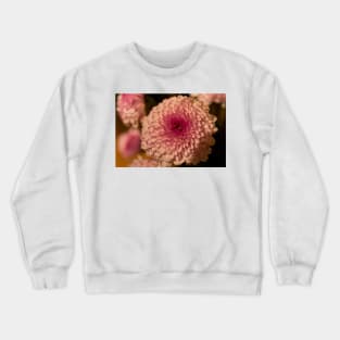 Pom-pom Dahlia Crewneck Sweatshirt